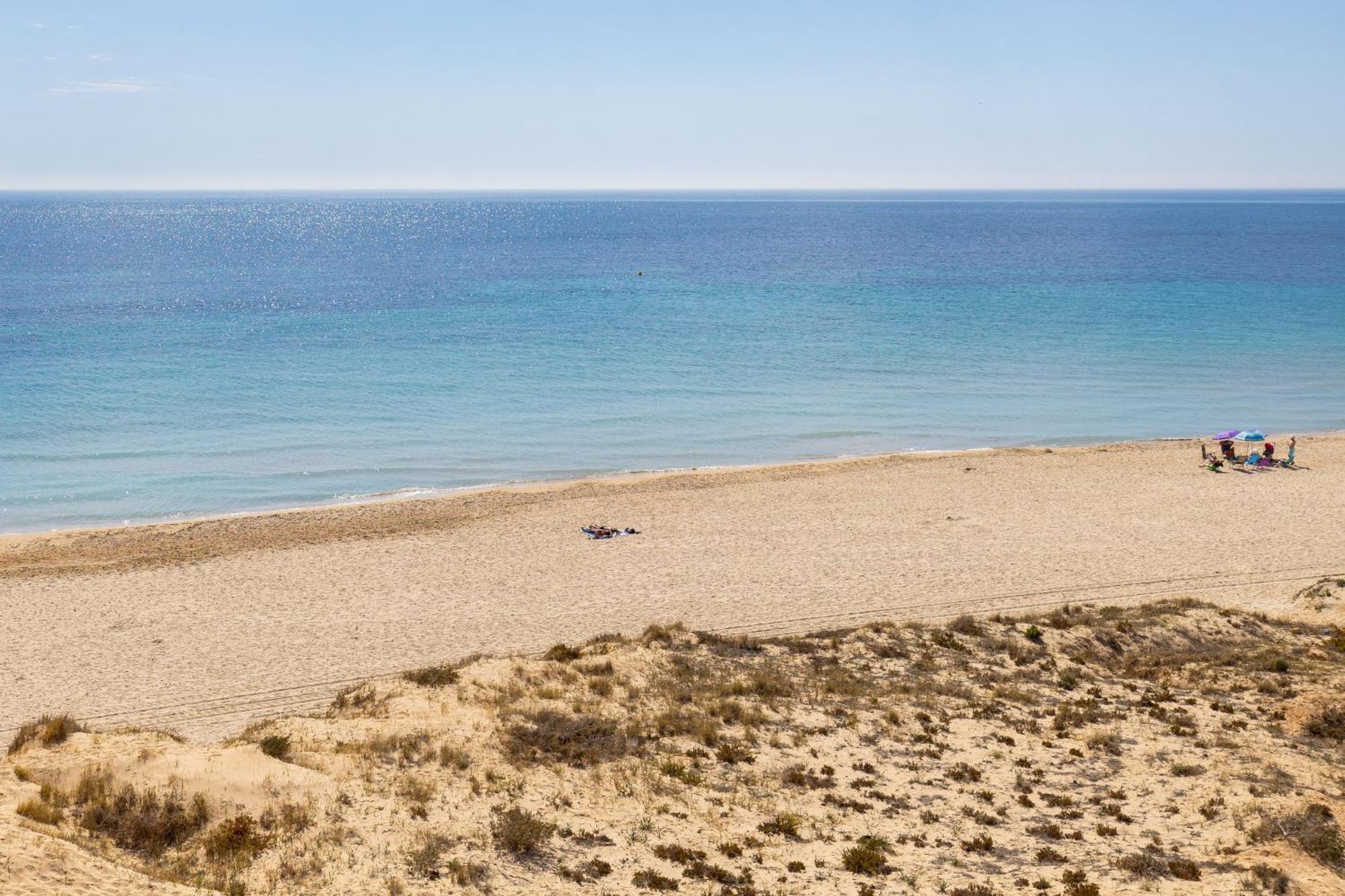 Paradise Palms By Fidalsa Dehesa de Campoamor  Eksteriør billede